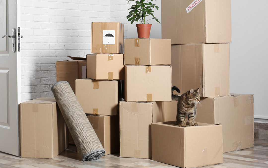 The 4 Ps of Moving House & Home Right