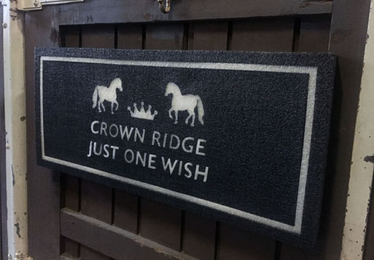 Crown Ridge Farms: Just One Wish Stall