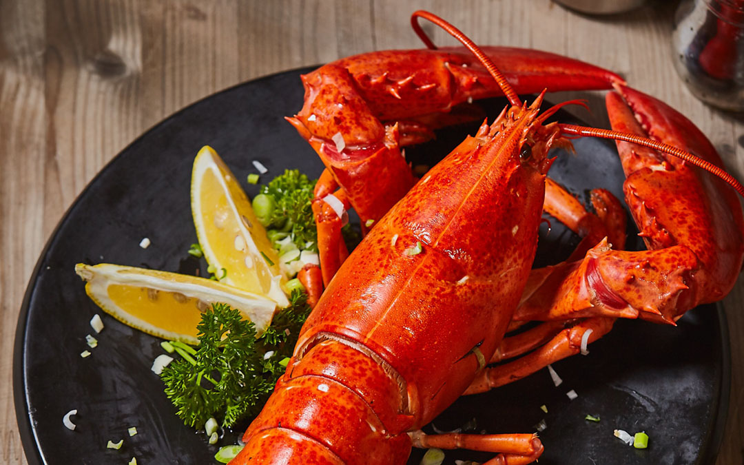 5 Snappy Tips for How to Ship Lobster