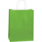 Citrus Green Tinted Paper Shopping Bags, Debbie - 10 x 5 x 13