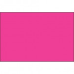 Fluorescent Pink Inventory Labels - 3 X 6