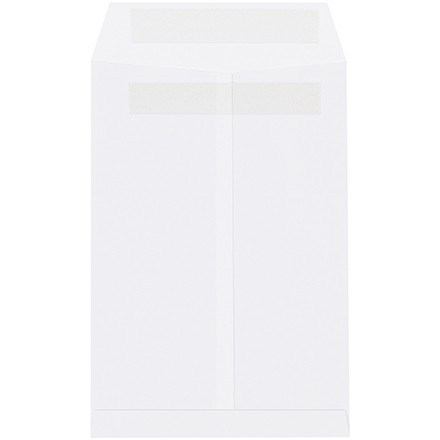 6 x 9" White Envelopes