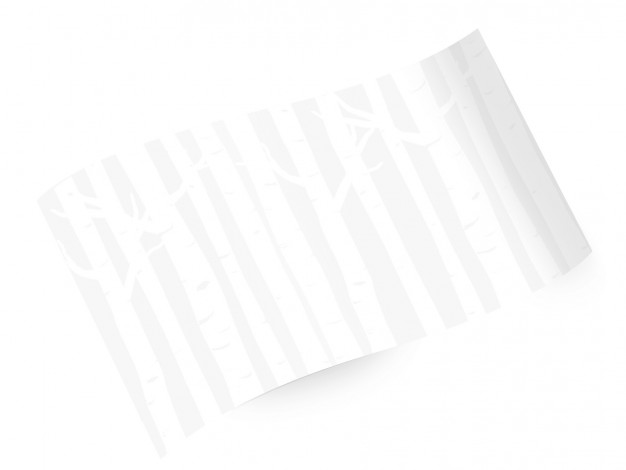 White Birch - Printed Tissue Sheets, 20 x 30