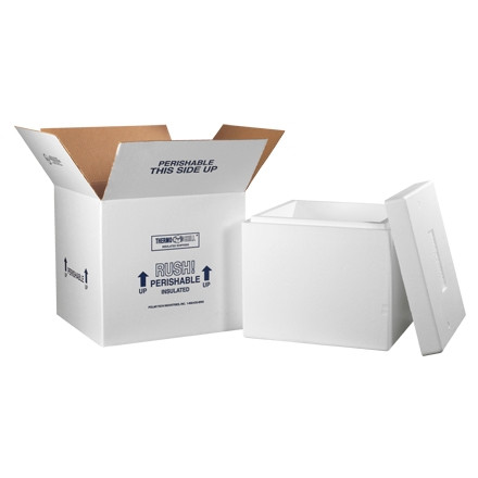  19 x 12 x 12-1/2 Insulated Styrofoam Shipping Coolers (1  Box) - AB-710-1-08 : Office Products