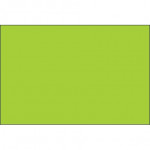 Etiquetas de inventario verdes fluorescentes - 3 x 6 
