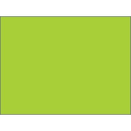 Etiquetas de inventario verdes fluorescentes - 3 x 4 "