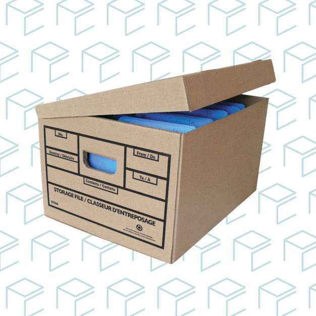 Cajas de almacenamiento y archivo con tapa adjunta - Paquete de 25